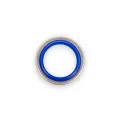 Fette Scraper Seal "B" Tool Blue | 3115546