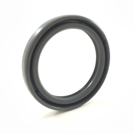 Fette Rotary Shaft Seal | 2147996