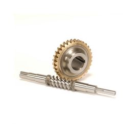Manesty Wormwheel & Shaft Assembly | 6448240
